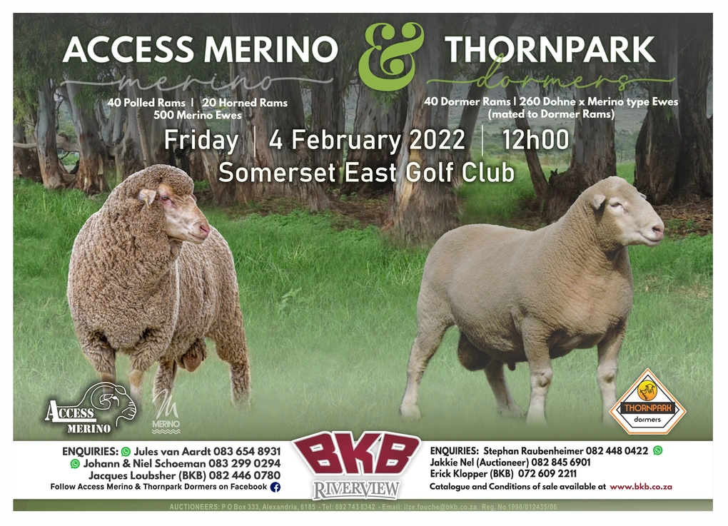 access-merino-thornpark-poster-.jpg.webp