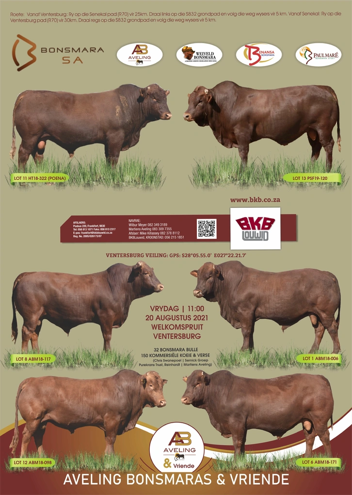 aveling-bonsmaras-en-vriende-a3-gevou-na-a4-pamflet-beide-kante-20-augustus-2021.jpgbuiteblad.jpg.webp