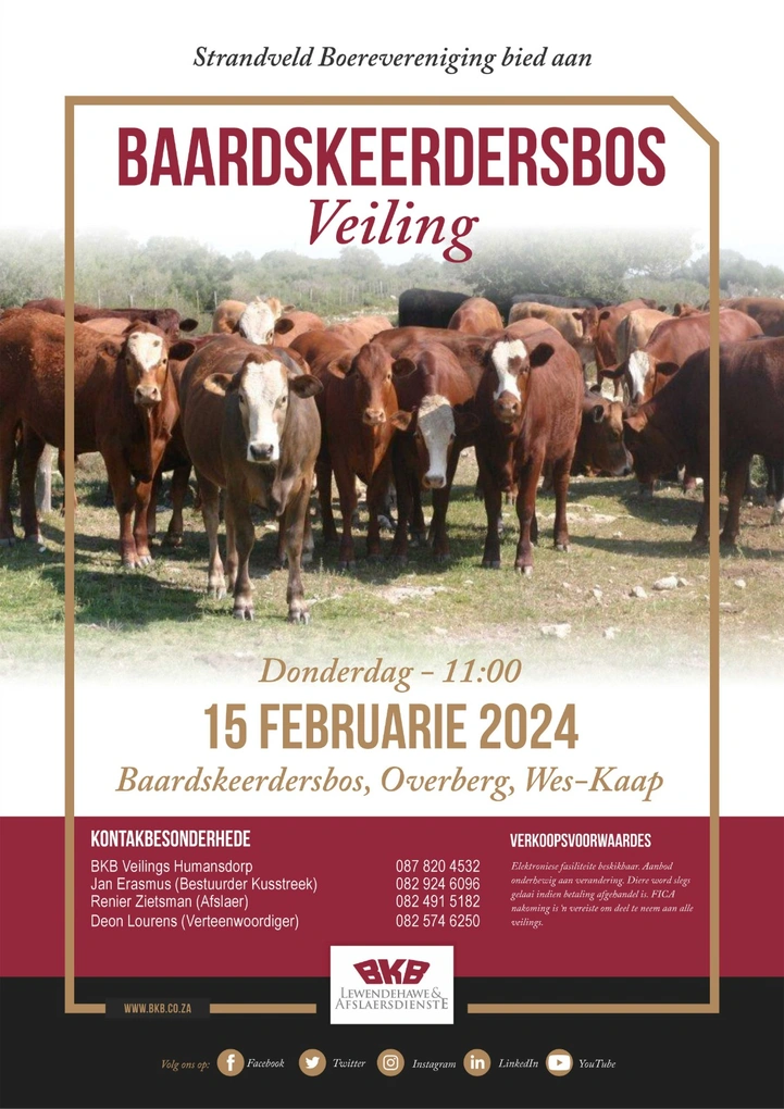 baardskeerdersbos-2024.jpeg.webp