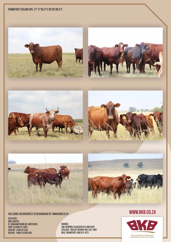bloemhof-boerdery-a4-digitaal-18-april-2024_agterkant.jpg.webp