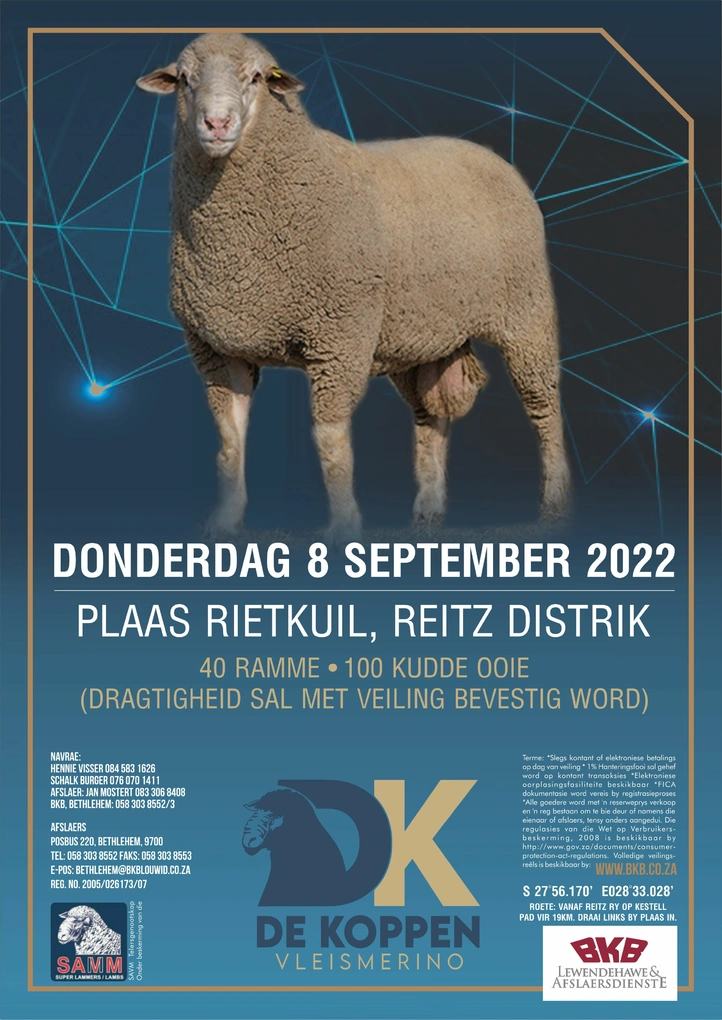 de-koppen-a4-enkel-pamflet-8-sept-finaal.jpg.webp