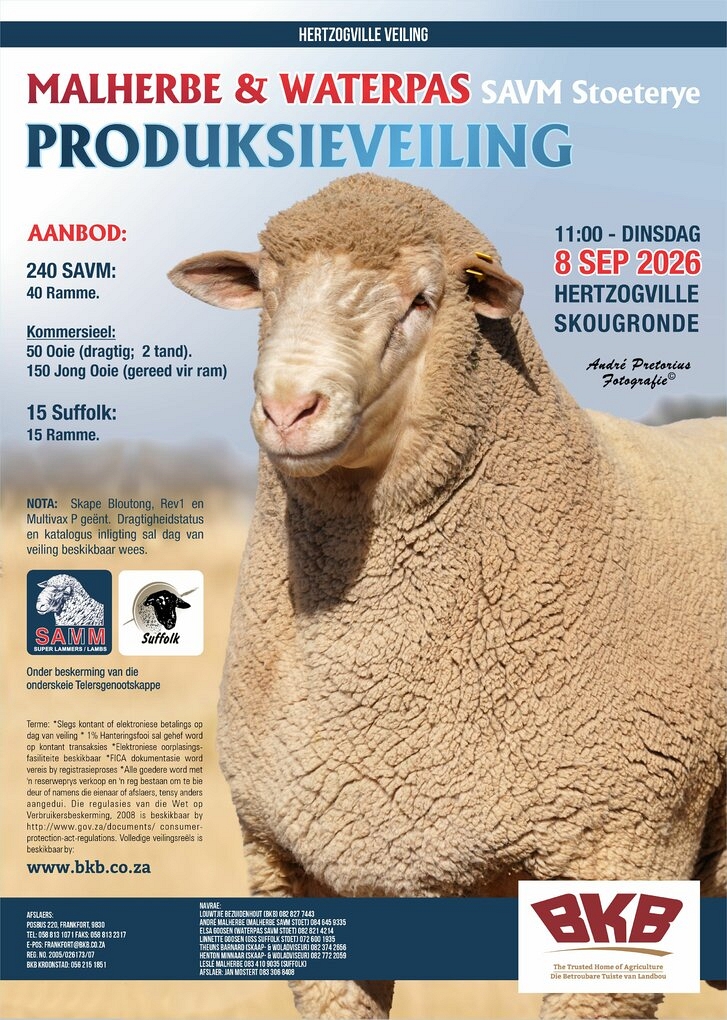 event-24480-25593-malherbe-waterpas-savm-stoet-8-september-2026-a4-pamflet_savm.jpg