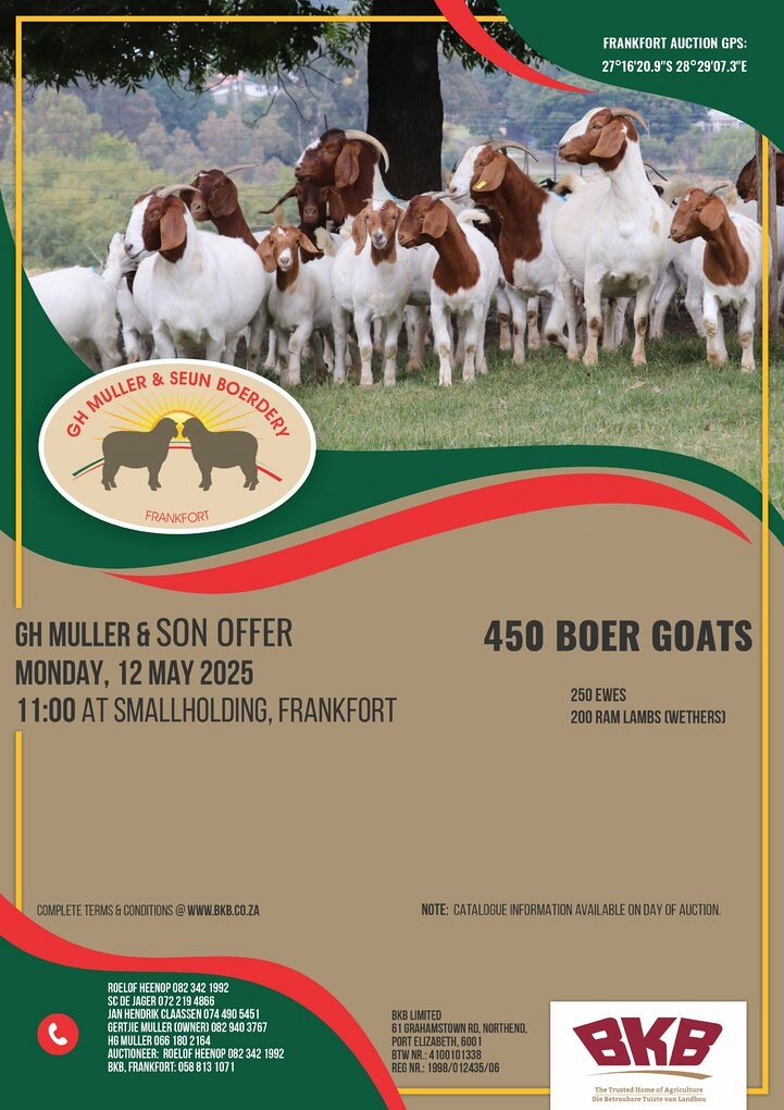 event-24666-21324-gh-muller-19-mei-2025-goats.jpg