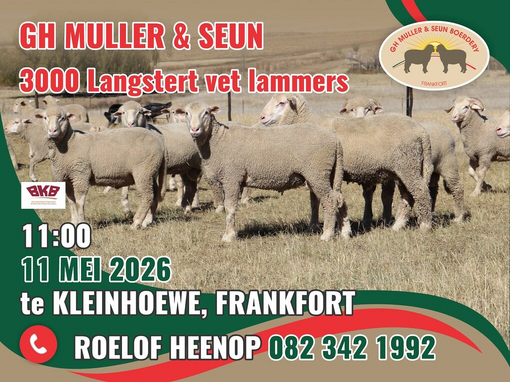 event-24666-25116-gertjie-muller-correx-poster-800-mm-x-600-mm-skape.jpg
