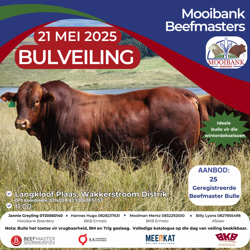 event-27132-21407-bulveiling-advertensie.png