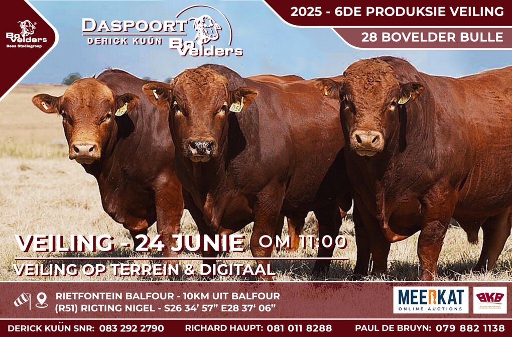 event-27195-22039-2025-daspoort-bovelders-advertensie-01-finaal.jpg