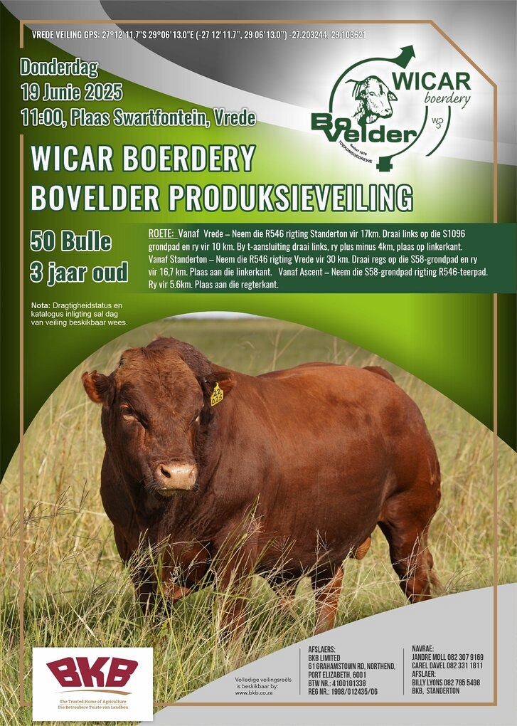 event-27228-21532-wicar-bovelder-a4-portrait-pamflet-19-junie-2025.jpg