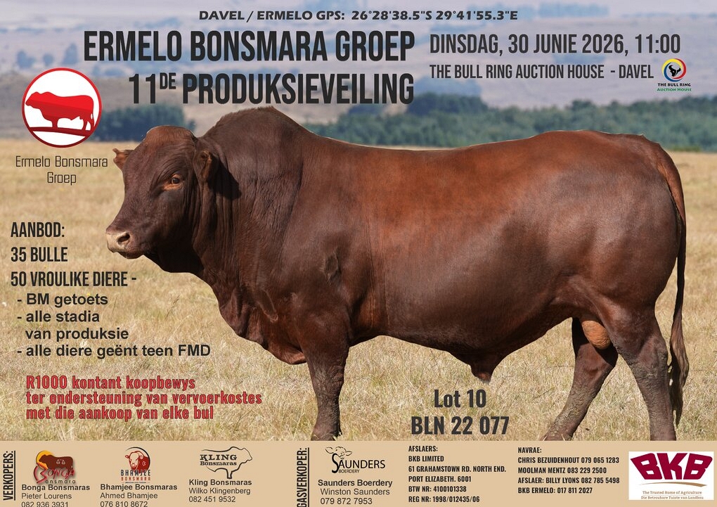 event-27252-25468-ermelo-bonsmara-groep-a4-flyer.jpg