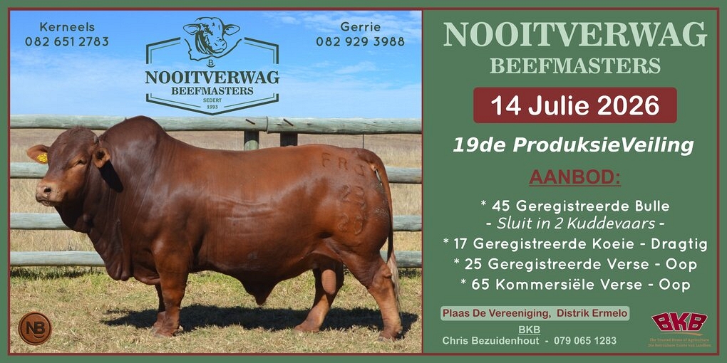 event-27264-25610-nooitverwag-correx-padbord-2500-mm-x-1250-mm.jpg