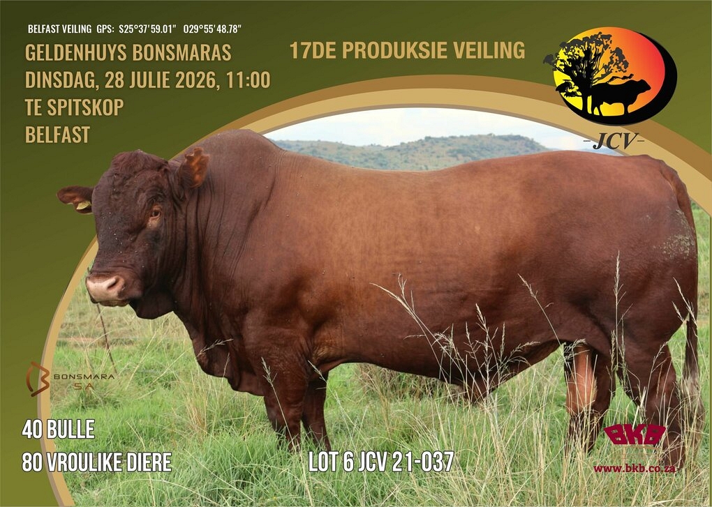 event-27267-25363-geldenhuys-bonsmaras-a5-beide-pamflet-28-julie-2026_vvorkant.jpg