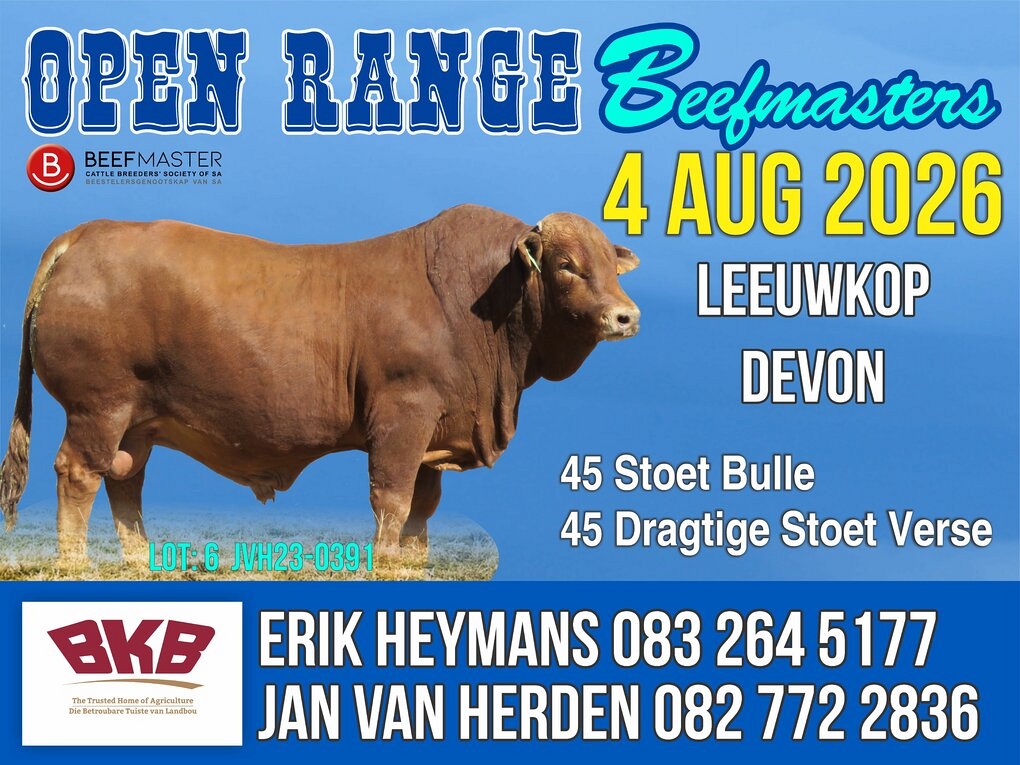 event-27335-25856-open-range-beefmasters-4-augustus-2026-correx-padbord-800-x-600mm.jpg