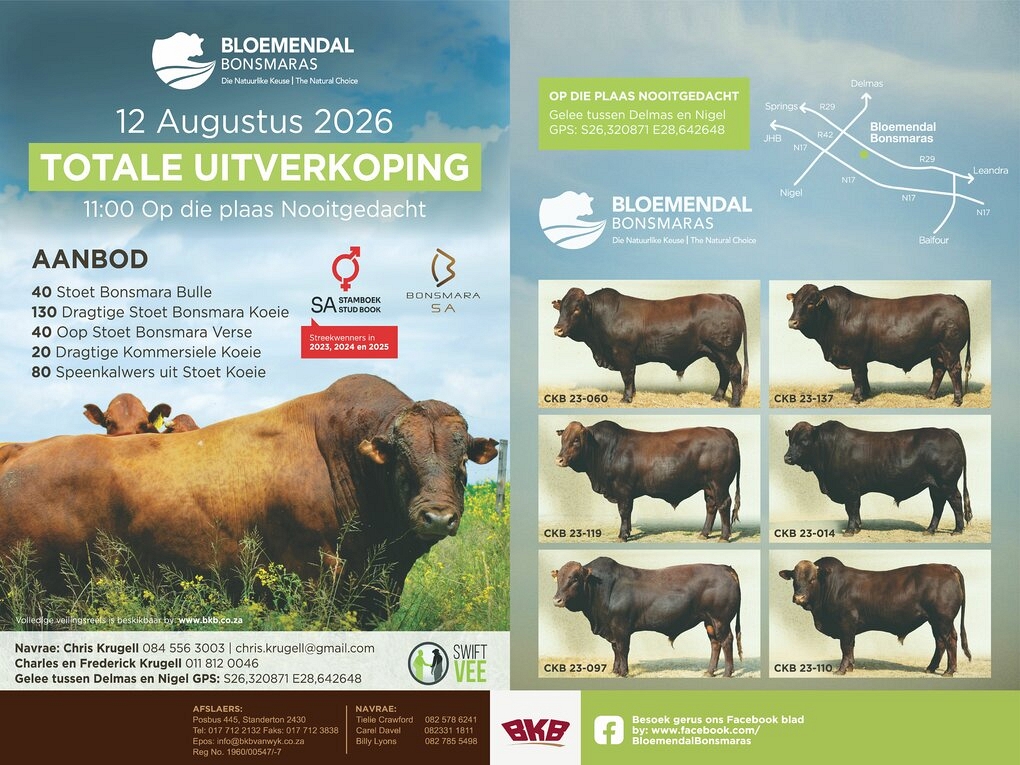 event-27358-25812-bloem-en-dal-borde.jpg.jpeg
