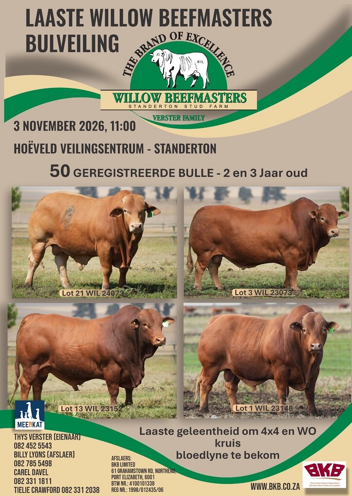 event-27550-26546-willow-beefmasters-a4.jpg