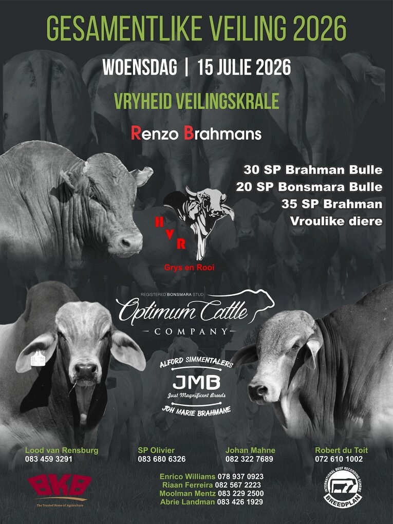 event-27897-25601-renzo-brahmans-medeverkopers-15-julie-correx-poster-600-mm-x-800-mm-vir-website.jpg