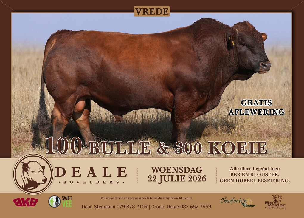 event-27900-25618-deale-bovelders-22-jul-2026-a4-pamflet.jpg
