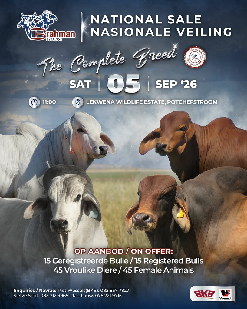 event-27911-26126-brahman-26-nasionale-veiling-05.jpg-a4-flyer.jpeg