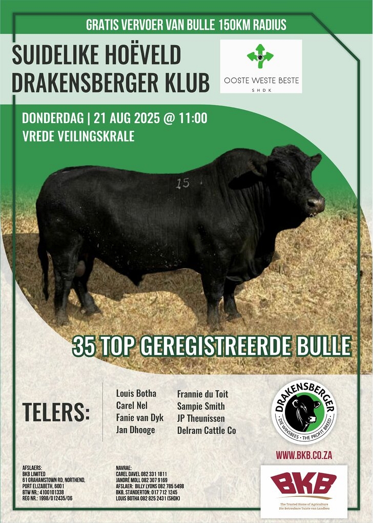 event-27926-22592-suidelike-hoeveld-drakensberg-klubveiling-21-augustus-2025-2.jpg