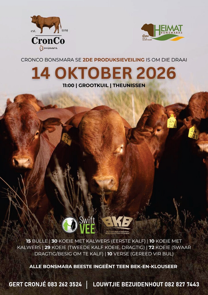 event-27944-26394-cronco-bonsmaras-a3-plakkate.jpg