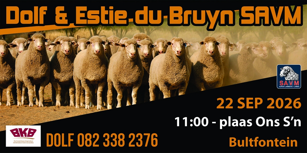 event-27961-25989-dolf-en-este-du-bruyn-chromadek-2450-mm-x-1225-mm.jpg