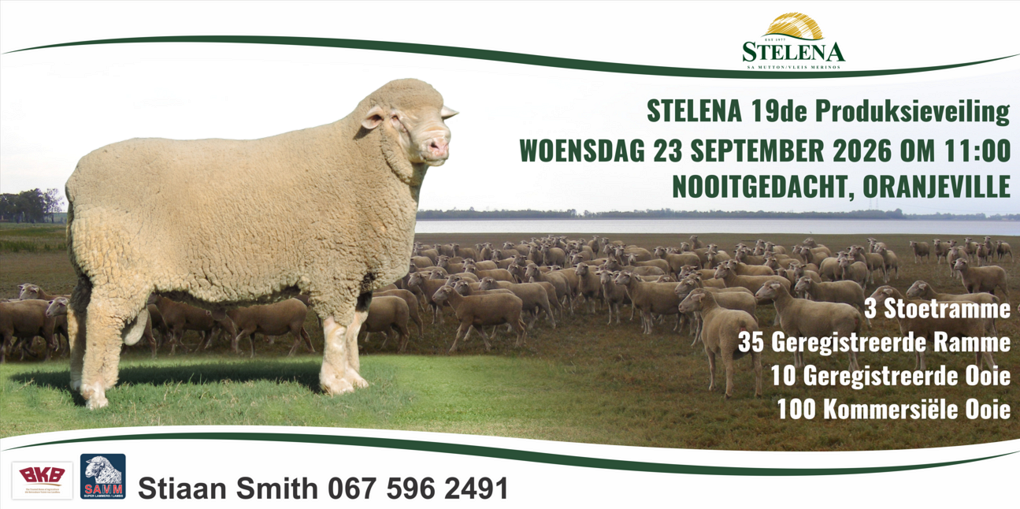 event-27965-26199-padbord-vir-website.png