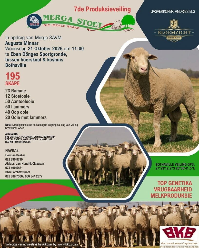 event-27980-26471-merga-savm-pamflet.jpeg