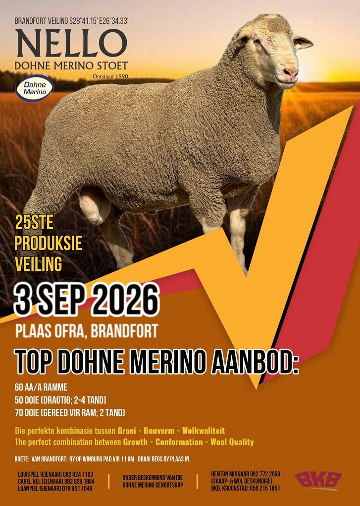 event-27995-26100-nello-dohne-merino-pamflet-3-september-2026.jpg