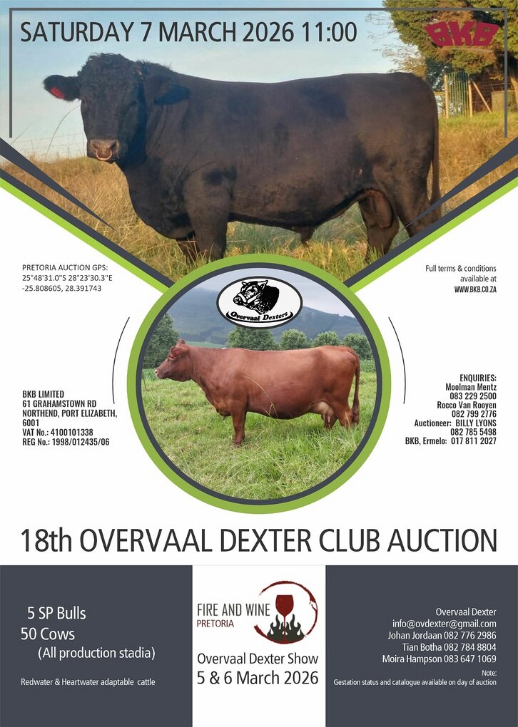 event-27996-23651-dexter-overvaal-klub-7-maart-2026-pamflet.jpg