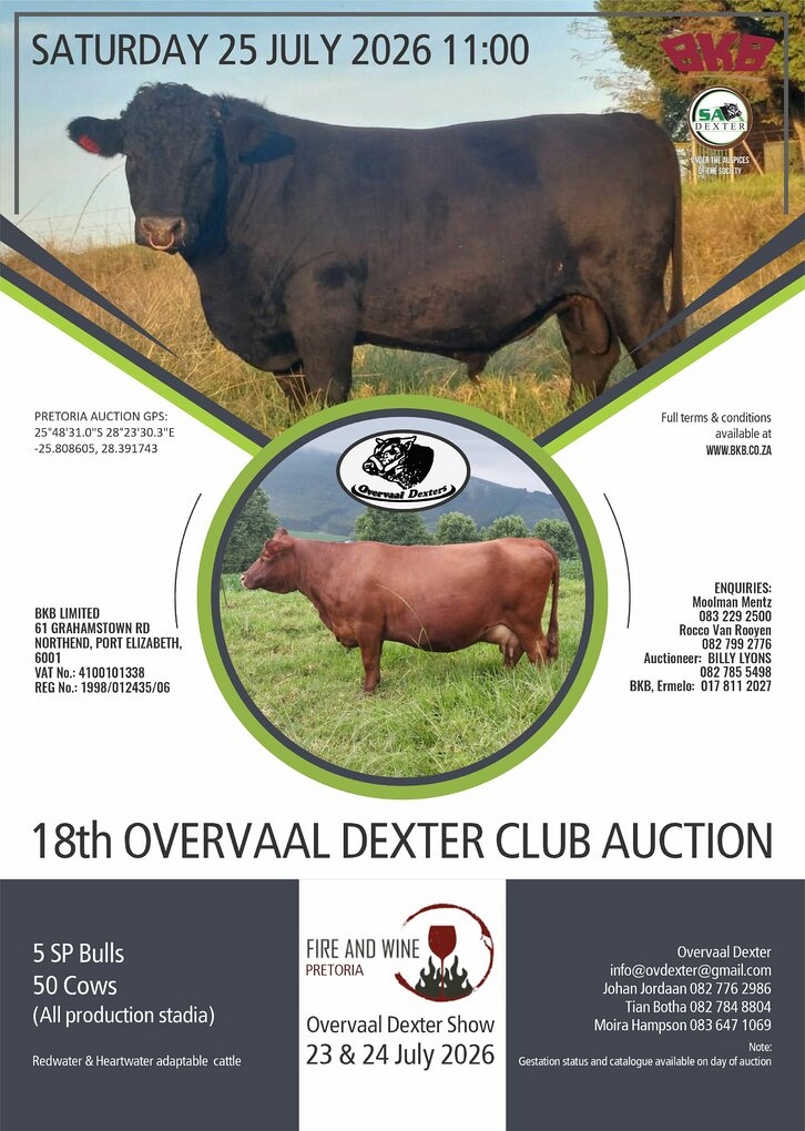 event-27996-25588-dexter-overvaal-klub-21-julie-2026-pamflet-rgb.jpg