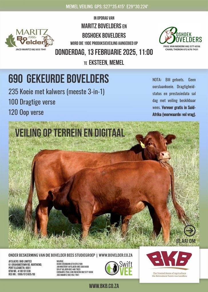 event-28071-24115-jaco-maritz-boerdery-13-februarie-2025-a4-beide-pamflet_beeste.jpg