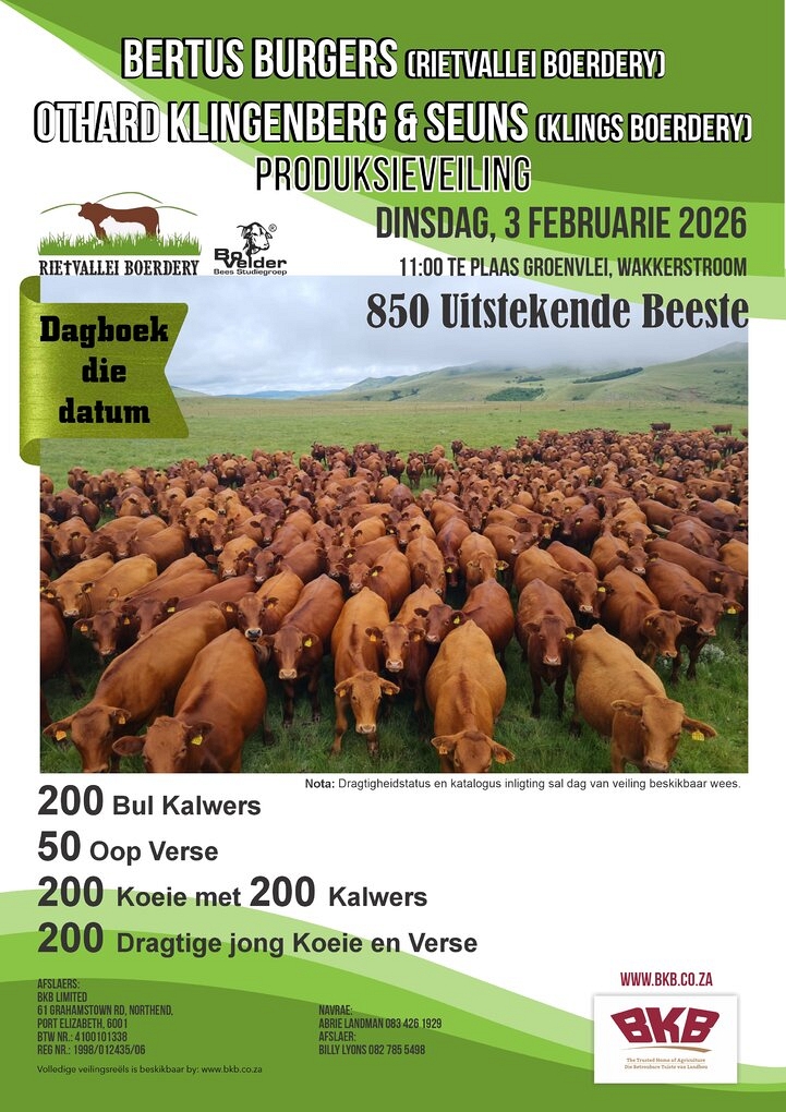 event-28264-24246-rietvallei-klings-pamflet-20-februarie-2026.jpg