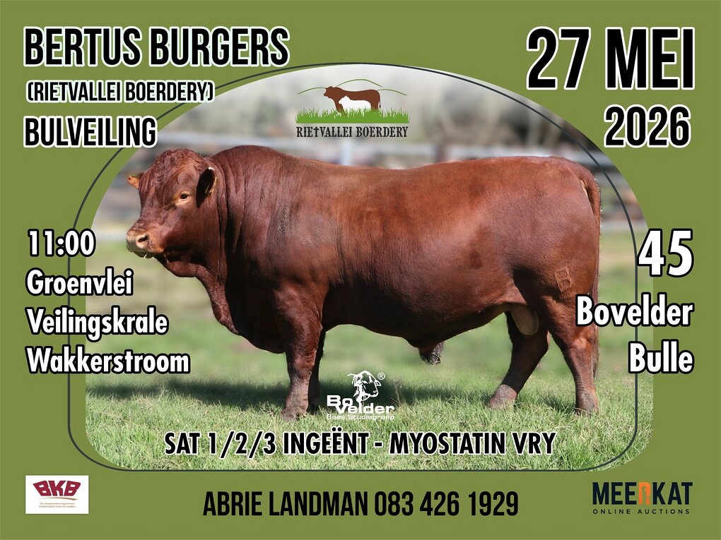 event-28264-25122-rietvallei-klings-corex-poster-800-mm-x-600-mm.jpg