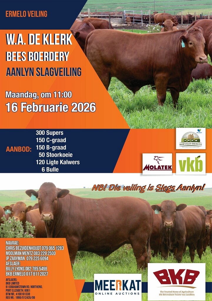 event-28682-24284-wa-de-klerk-aanlyn-slagveiling-16-feb-2026-pamfleet-custom.jpg