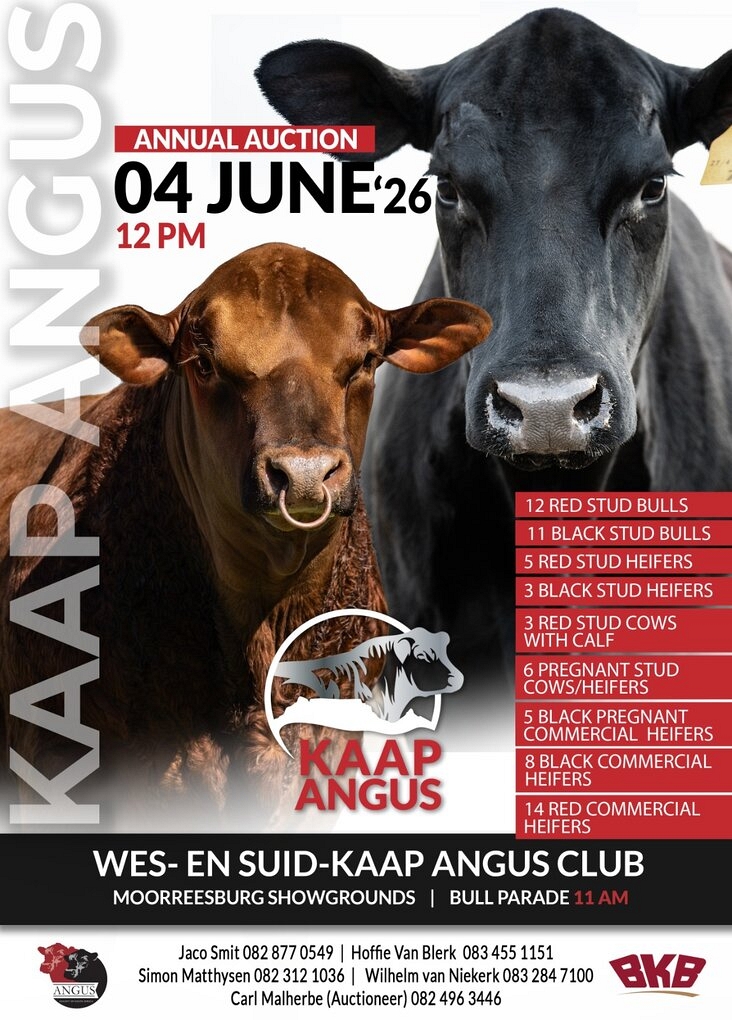 event-28762-25167-wes-sk-angus.jpg