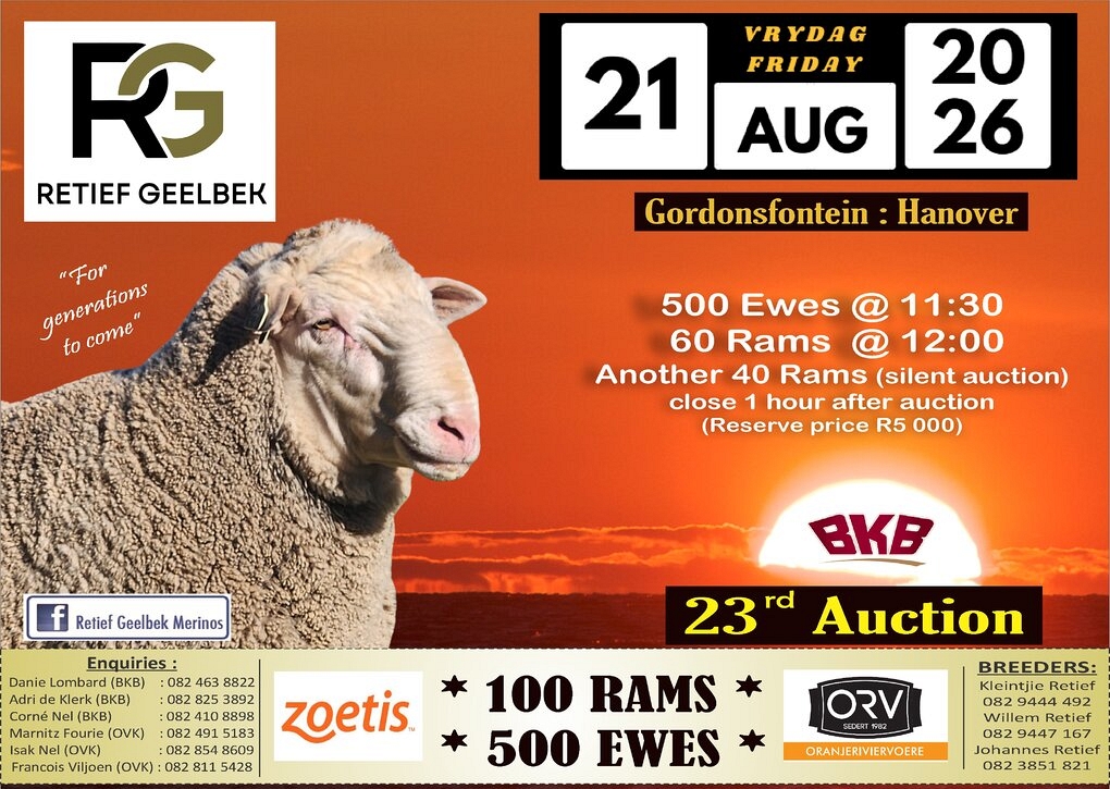 event-28808-25136-2026-08-retief-geelbek-merinos-met-bkb.jpg