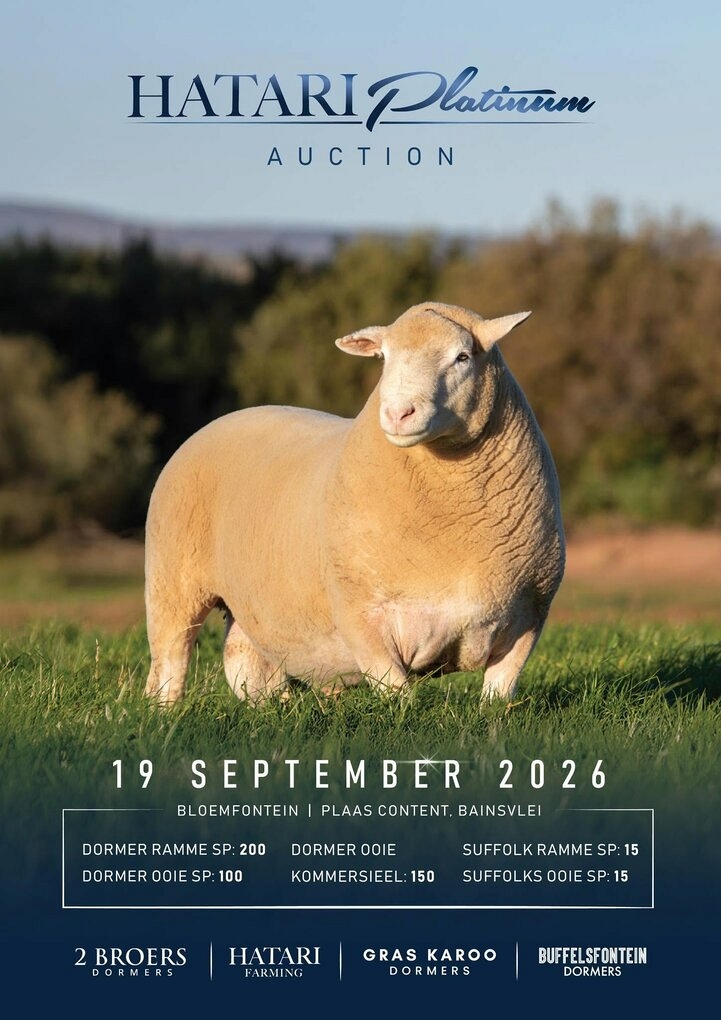 event-28834-25595-hatari-poster.jpg