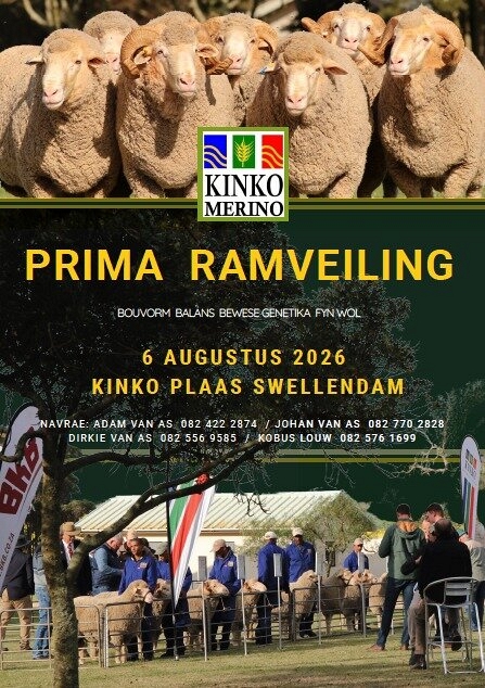 event-28836-25477-kinko-merino.jpg