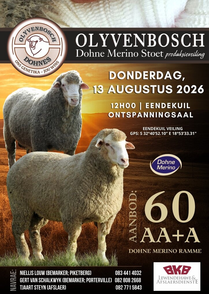 event-28858-25647-olyvenbosch.jpg