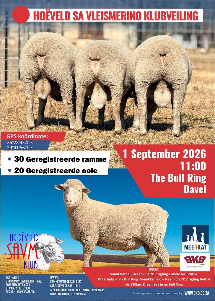event-28923-26221-ho-veld-savm-klub-pamflet_red.jpg
