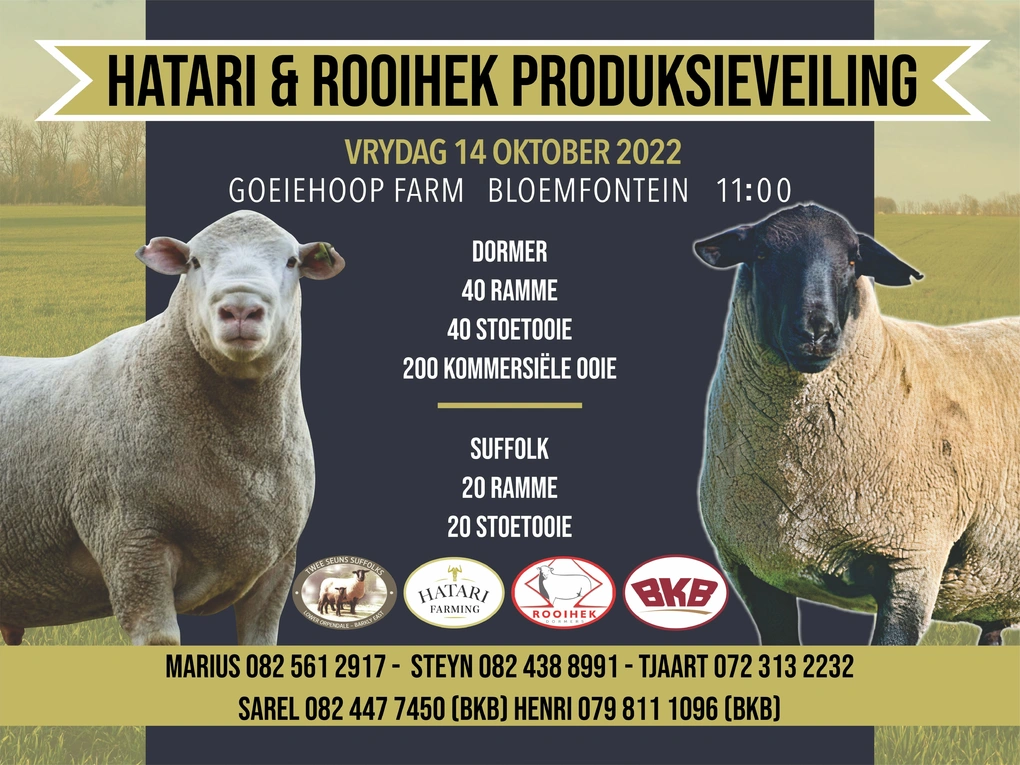 hatari-rooihek-produksieveiling-14-okt-2022-correx-bord-800-mm-x-600-mm-custom.jpg.webp
