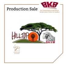 hiltop-savm.png.webp