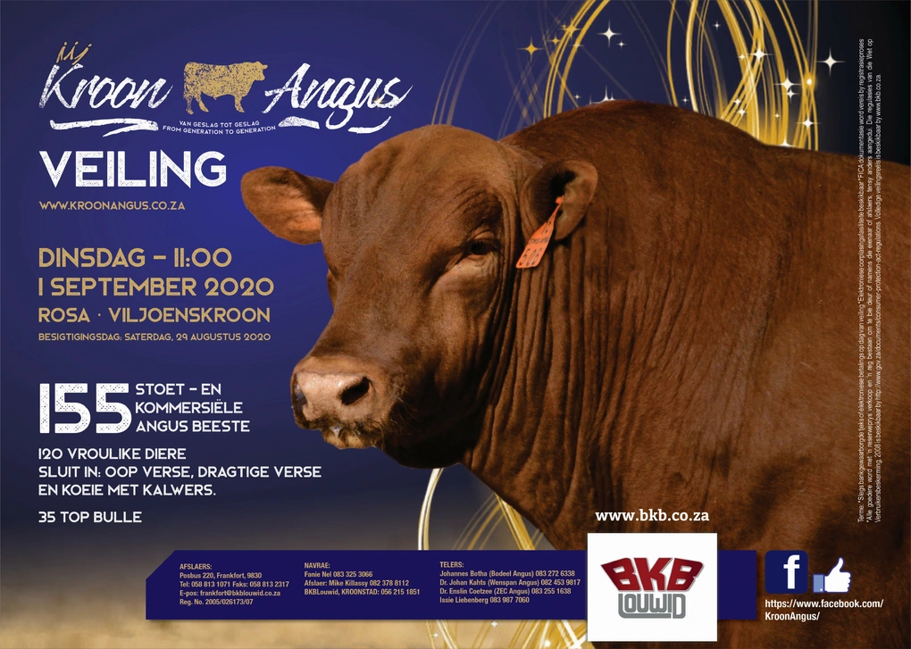 kroon-angus-1-september-2020-a4-beide-pamflet-voorkant-custom.jpg.webp