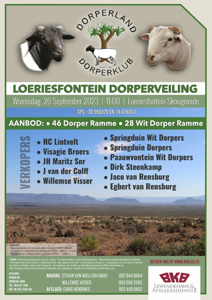 loeriesfontein-dorperveiling.jpeg.webp