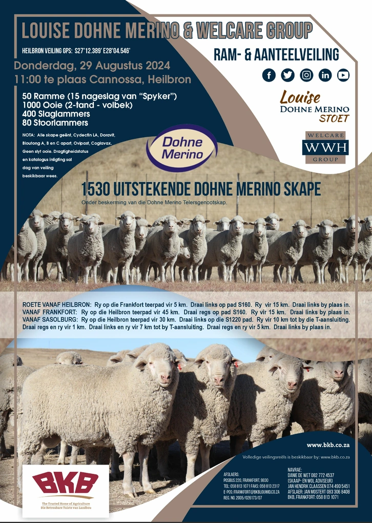 louise-dohne-merino-welcare-group-veiling-a4-enkel-pamflet.jpg.webp