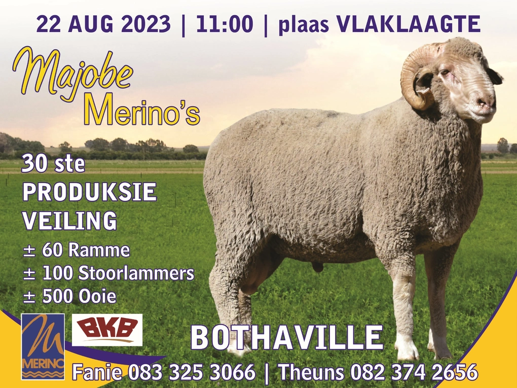 majobe-merinos-magneet-600mm-x-800mm_opsie-2-custom.jpg.webp