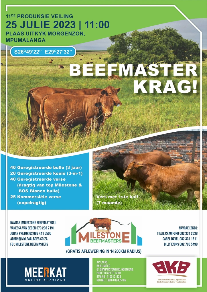 milestone-beefmasters-a4-enkel-volkleur-25-julie-2023-custom.jpg.webp