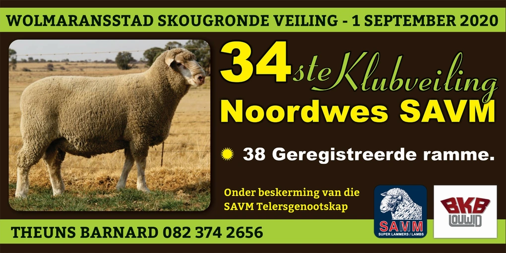 noordwes-savm-1-september-2020-correx-bord-1250x2500mm-custom.jpg.webp