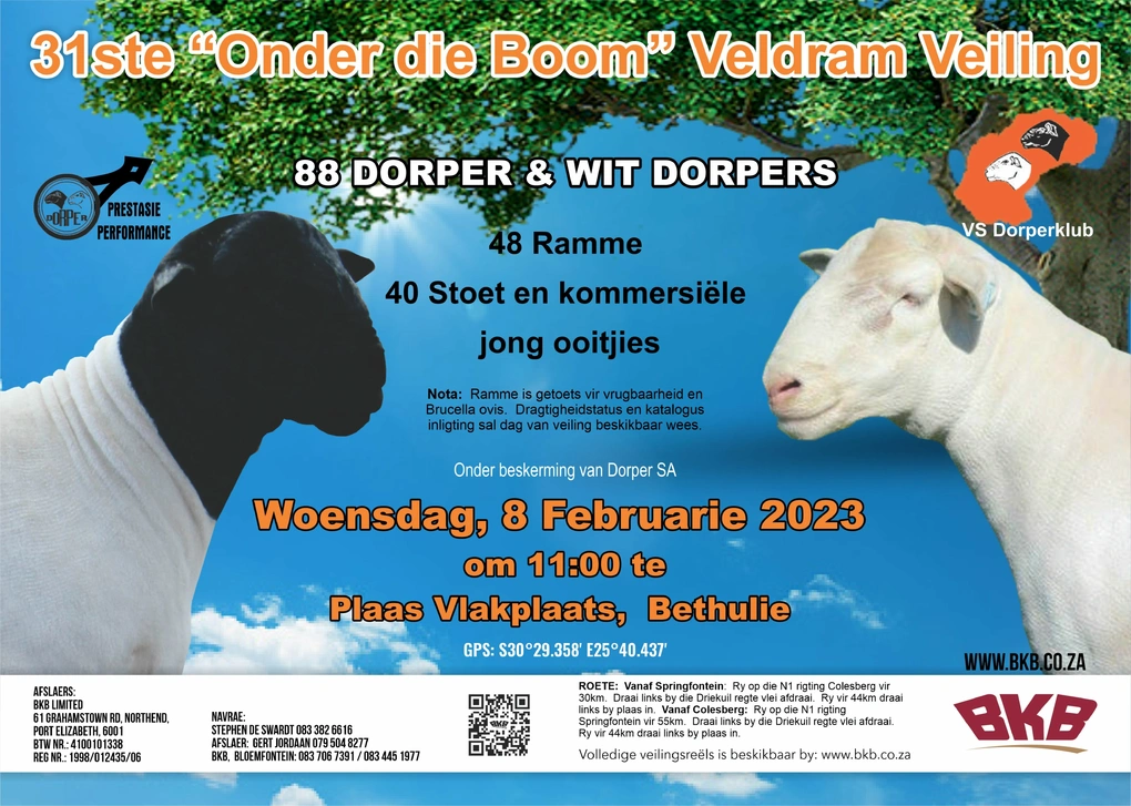 onder-die-boom-veldram-8-feb-2023-a4-digitaal-custom.jpg.webp