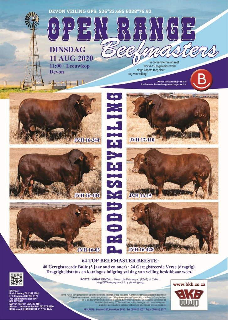 open-range-beefmasters-a4-enkel-pamflet-11-augustus-2020-custom.jpg.webp