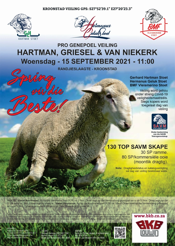 pro-genepoel-savm-produksieveiling-15-sept-2021-a4-enkel-pamflet-custom.jpg.webp