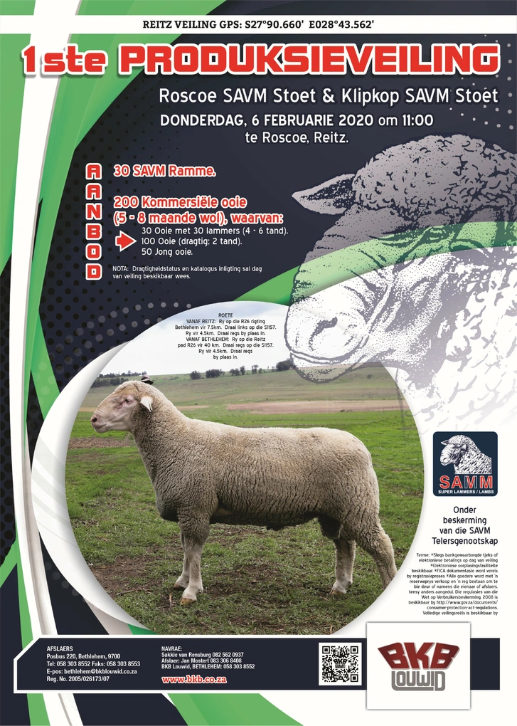 roscoe-klipoog-savm-stoet-6-feb-2020-a4-enkel-pamflet-finaal-custom.jpg.webp